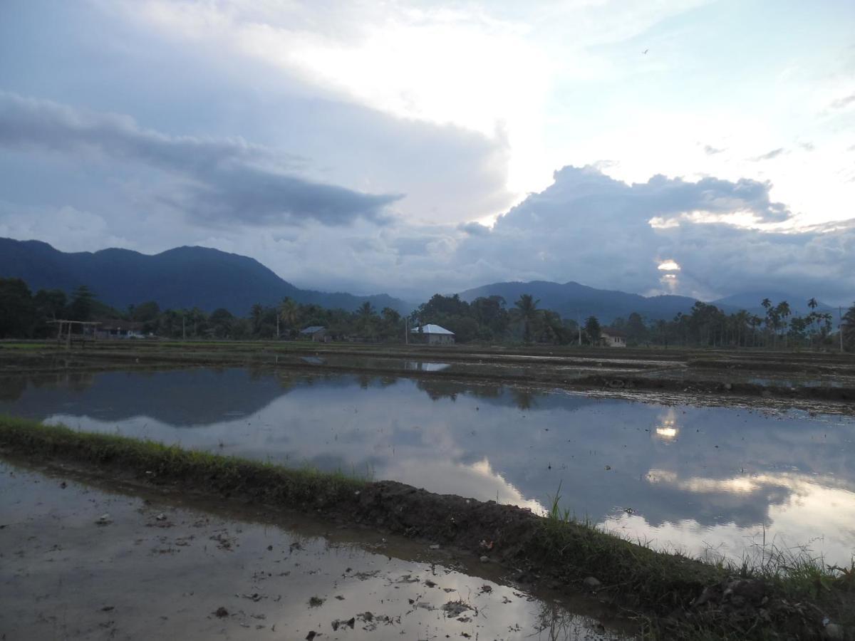 Ambow Homestay Jungle Trekking & Village Tour Букит-Лаванг Экстерьер фото