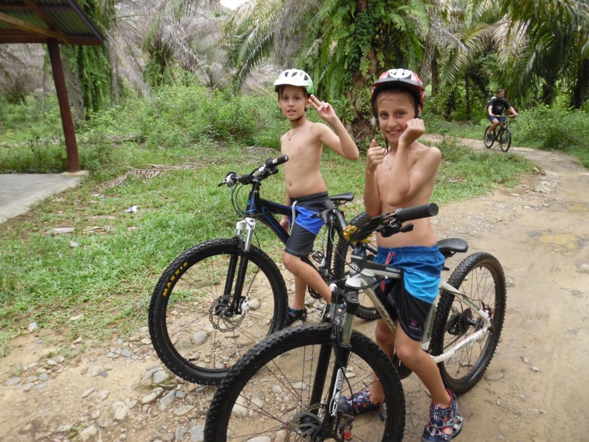 Ambow Homestay Jungle Trekking & Village Tour Букит-Лаванг Экстерьер фото