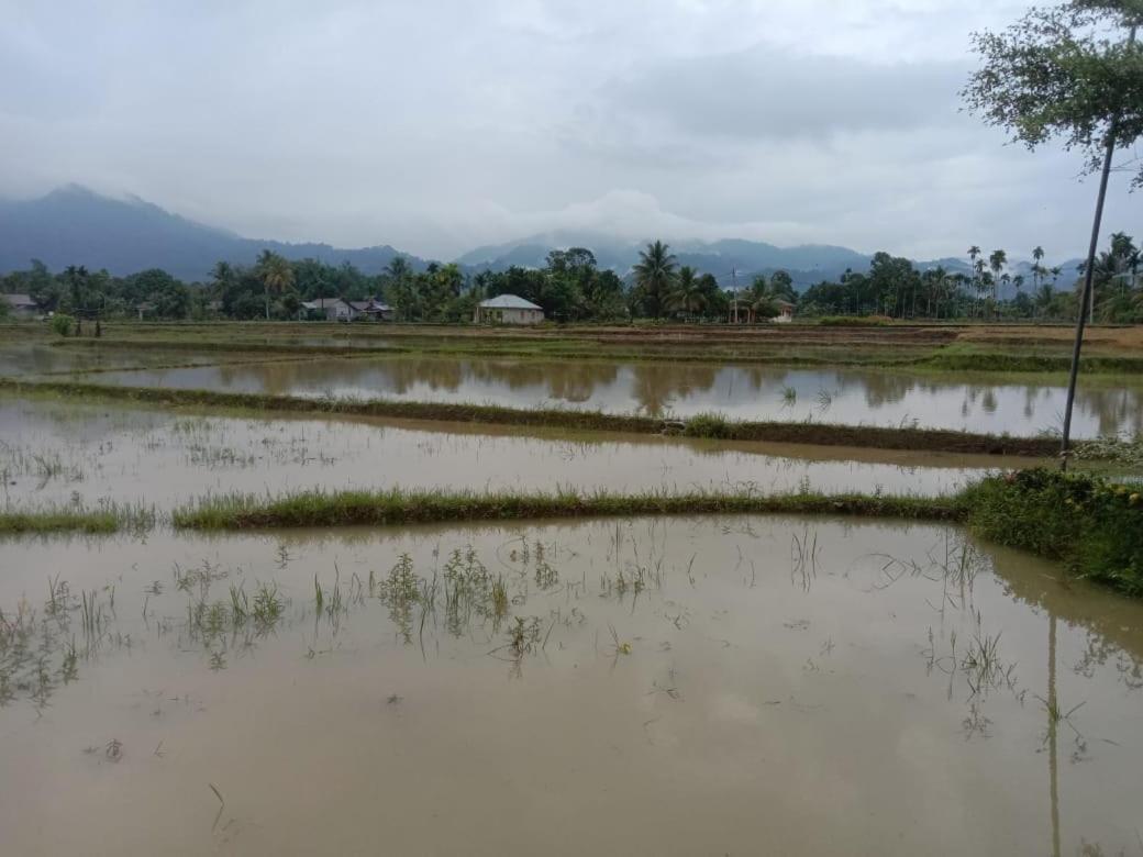 Ambow Homestay Jungle Trekking & Village Tour Букит-Лаванг Экстерьер фото