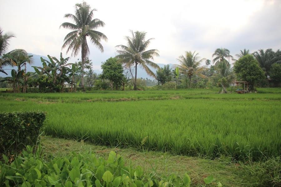 Ambow Homestay Jungle Trekking & Village Tour Букит-Лаванг Экстерьер фото