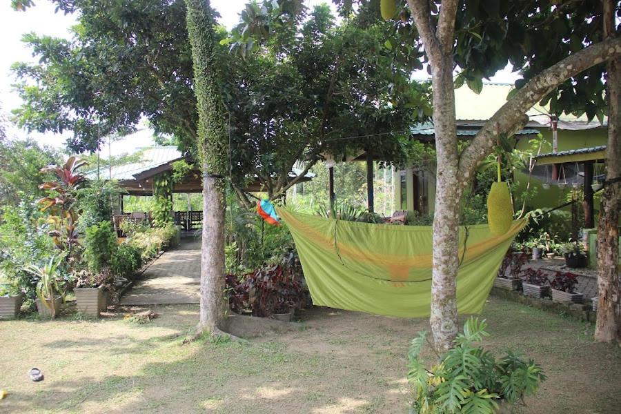 Ambow Homestay Jungle Trekking & Village Tour Букит-Лаванг Экстерьер фото