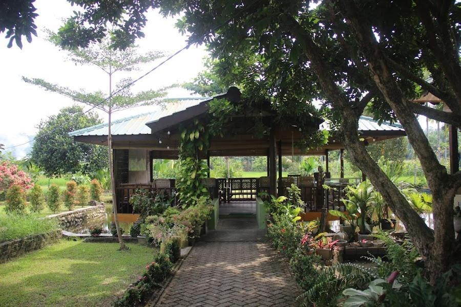 Ambow Homestay Jungle Trekking & Village Tour Букит-Лаванг Экстерьер фото