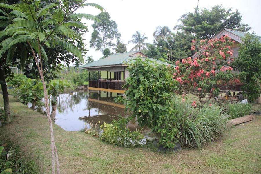Ambow Homestay Jungle Trekking & Village Tour Букит-Лаванг Экстерьер фото