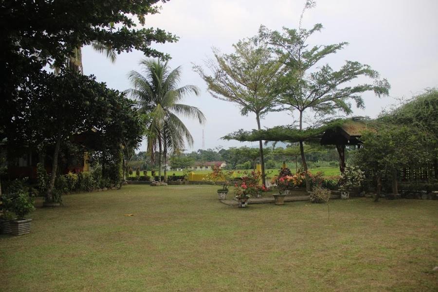 Ambow Homestay Jungle Trekking & Village Tour Букит-Лаванг Экстерьер фото