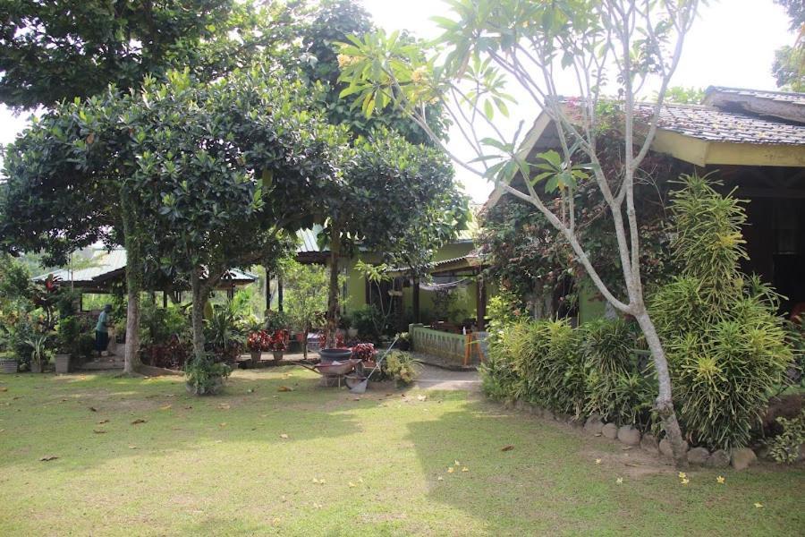 Ambow Homestay Jungle Trekking & Village Tour Букит-Лаванг Экстерьер фото