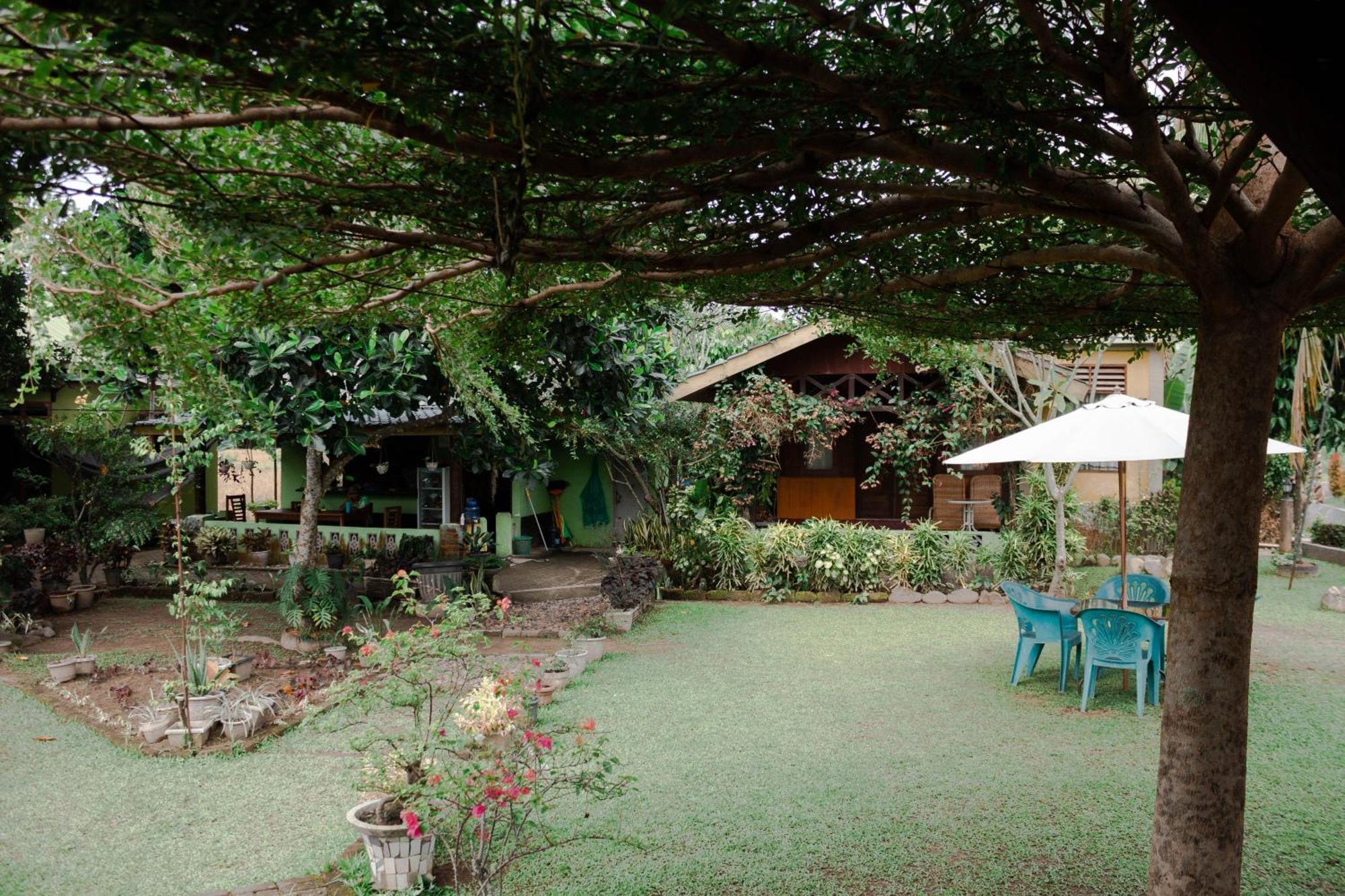Ambow Homestay Jungle Trekking & Village Tour Букит-Лаванг Экстерьер фото
