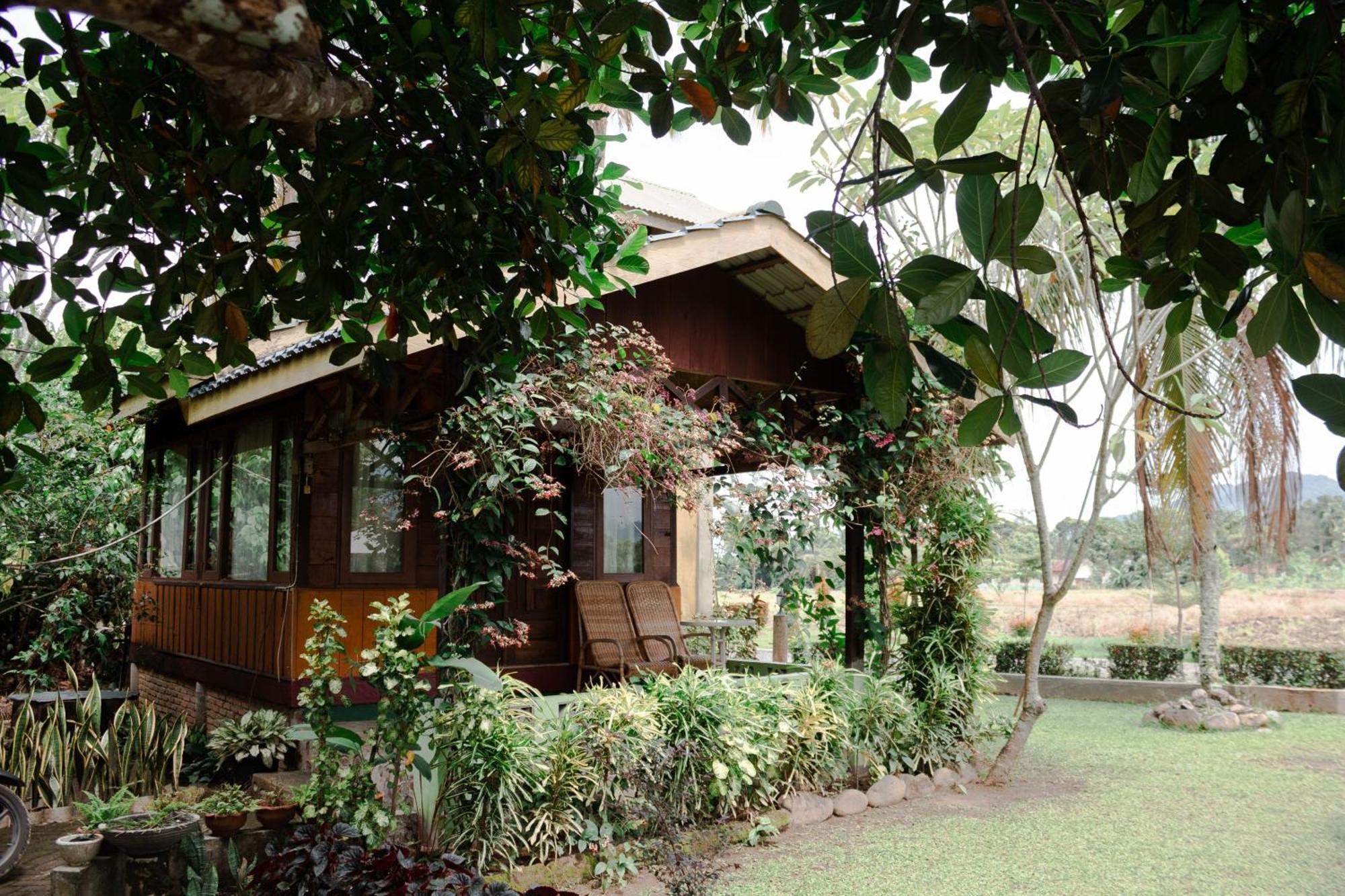 Ambow Homestay Jungle Trekking & Village Tour Букит-Лаванг Экстерьер фото