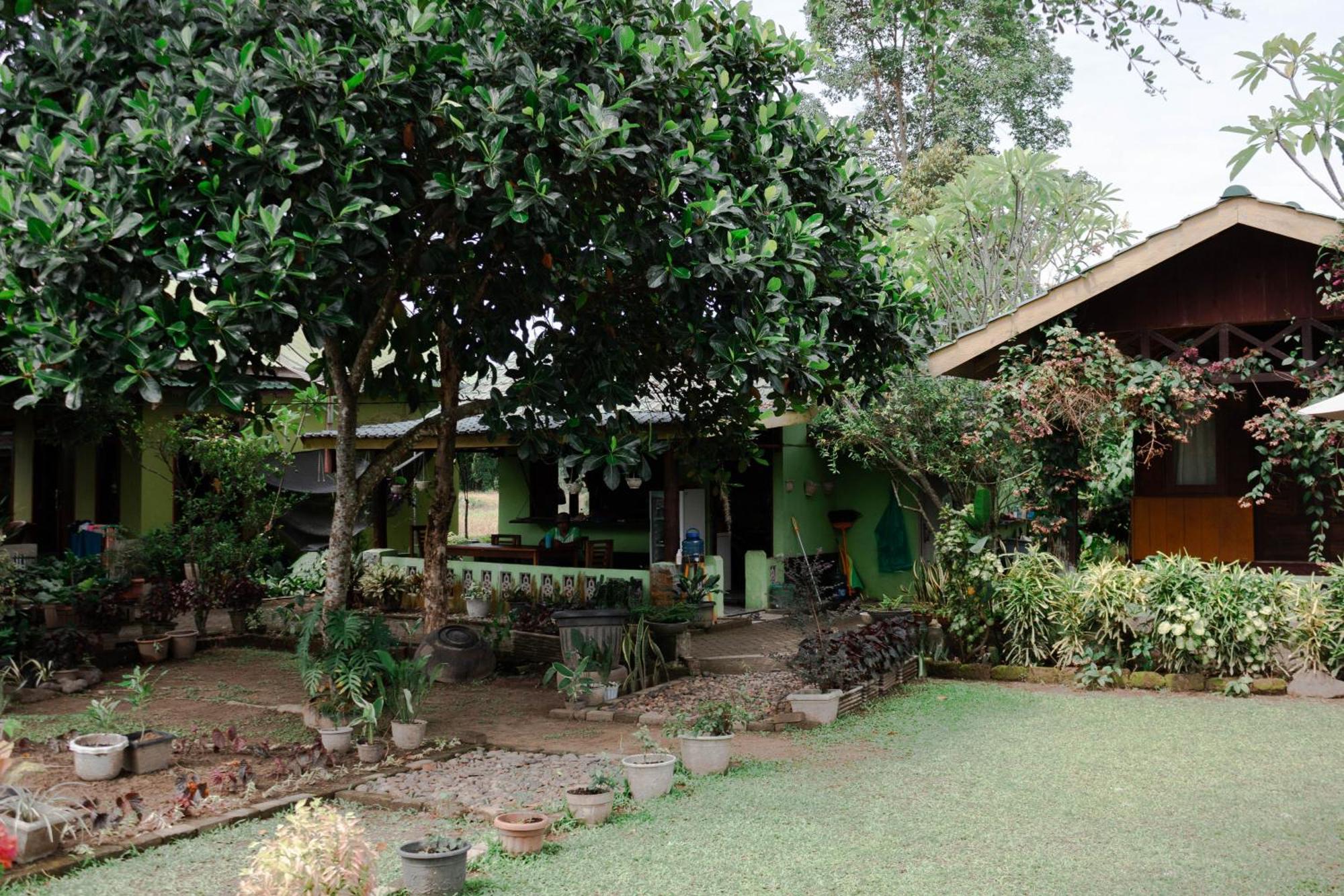 Ambow Homestay Jungle Trekking & Village Tour Букит-Лаванг Экстерьер фото