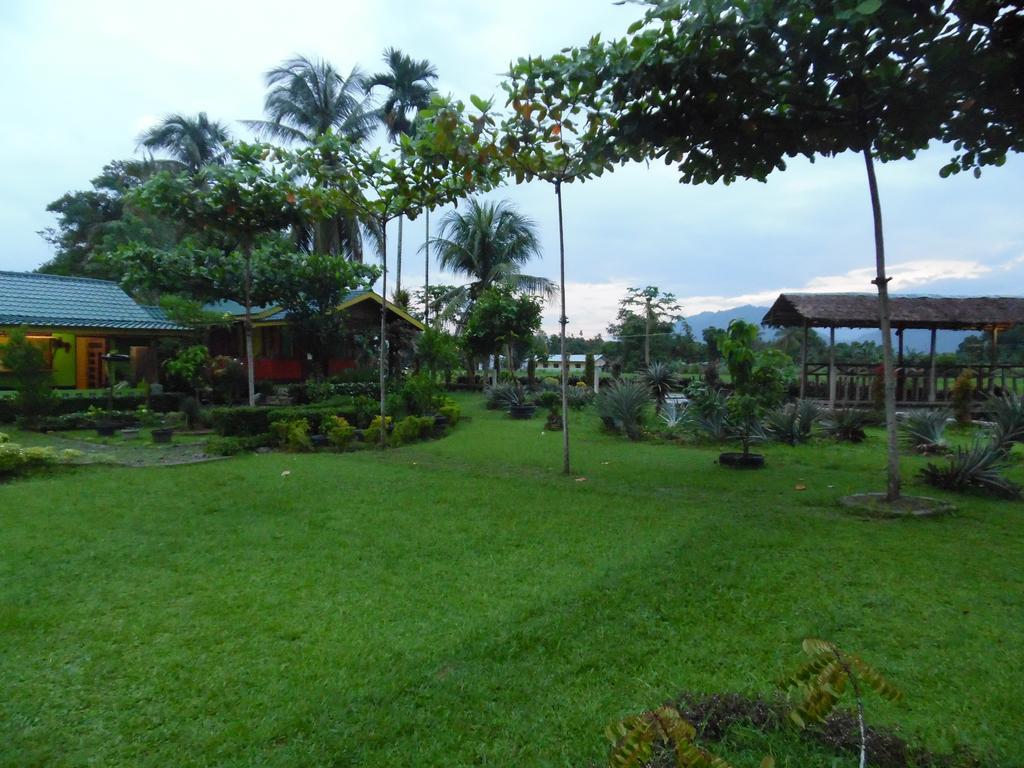 Ambow Homestay Jungle Trekking & Village Tour Букит-Лаванг Экстерьер фото