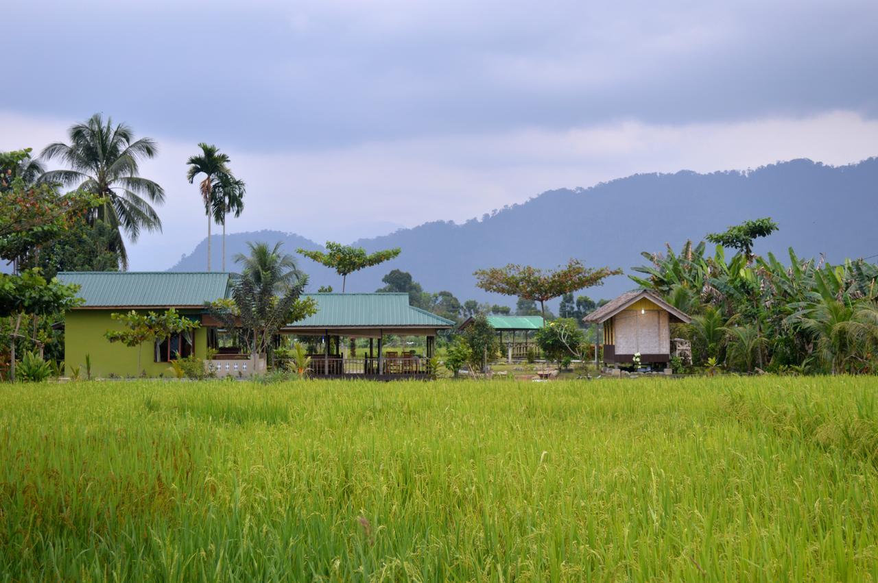 Ambow Homestay Jungle Trekking & Village Tour Букит-Лаванг Экстерьер фото