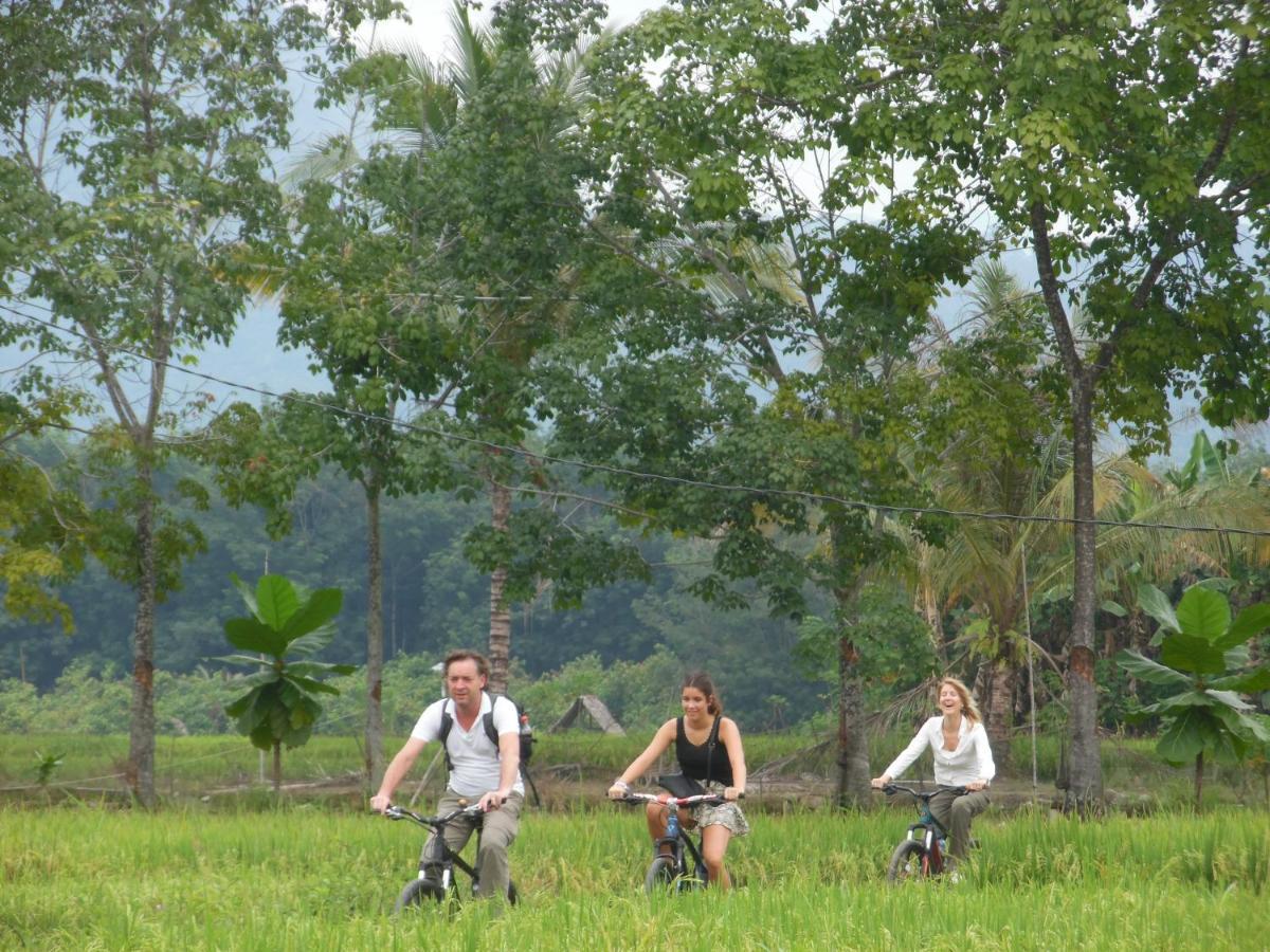 Ambow Homestay Jungle Trekking & Village Tour Букит-Лаванг Экстерьер фото