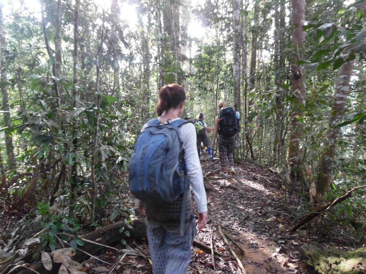 Ambow Homestay Jungle Trekking & Village Tour Букит-Лаванг Экстерьер фото