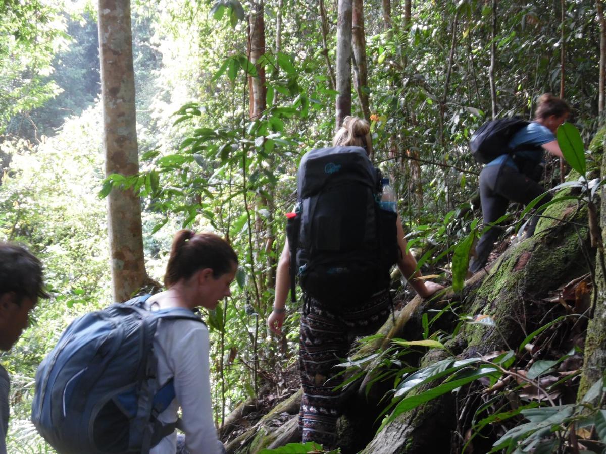Ambow Homestay Jungle Trekking & Village Tour Букит-Лаванг Экстерьер фото