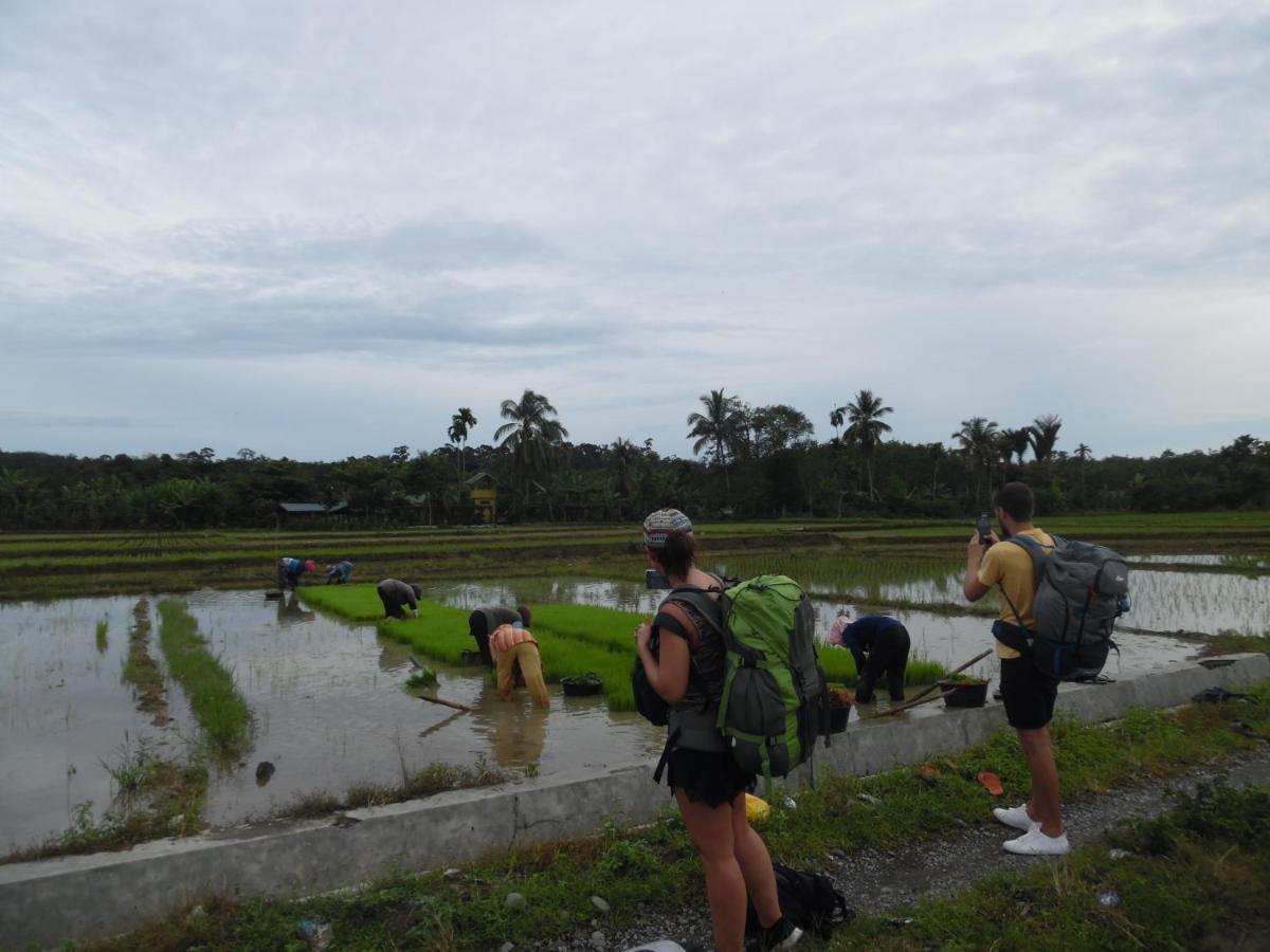 Ambow Homestay Jungle Trekking & Village Tour Букит-Лаванг Экстерьер фото